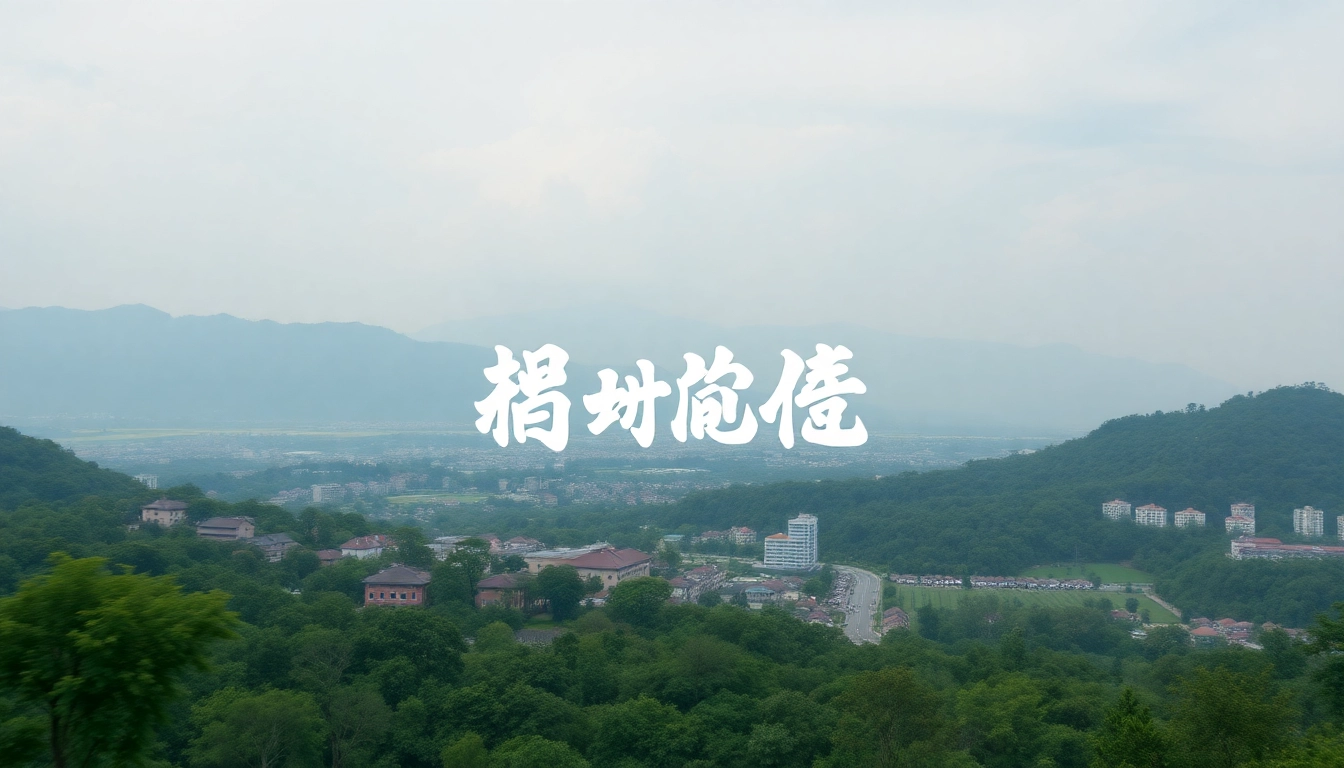 使用Telegram电脑版的用户在电脑前专注于聊天，界面清晰，互动生动。